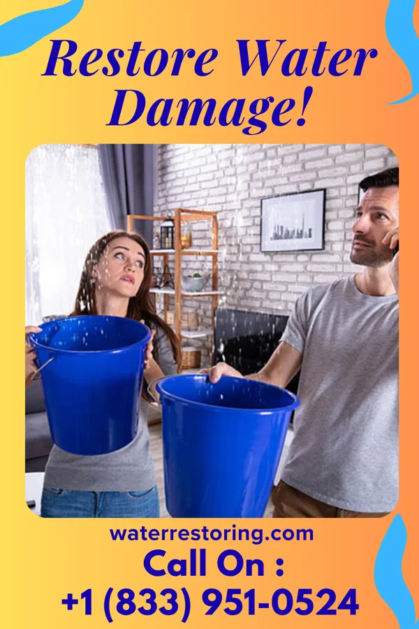 water restoration Sentinel Water Cleanup Inc South Rosemary