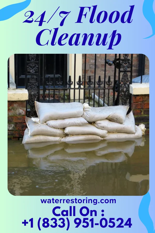24/7 Flood Cleanup in South Rosemary, NC