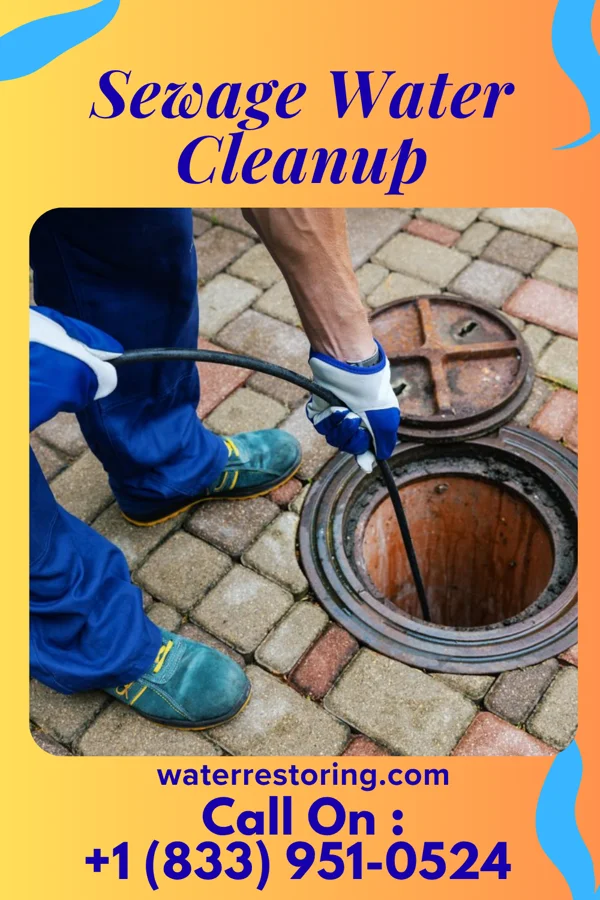 Sewage Water Cleanup in South Rosemary, NC