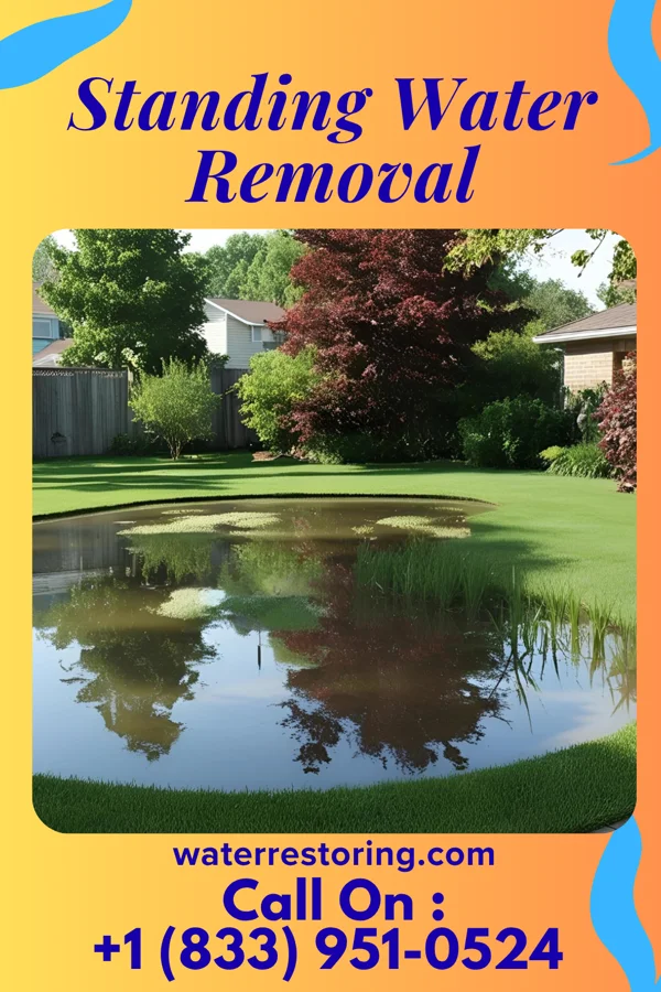 Standing Water Removal in South Rosemary, NC